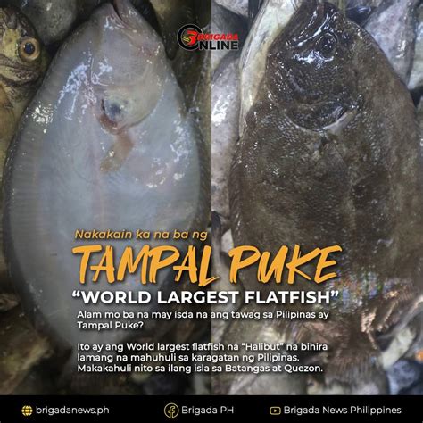 kain puke|Katas ng puke .